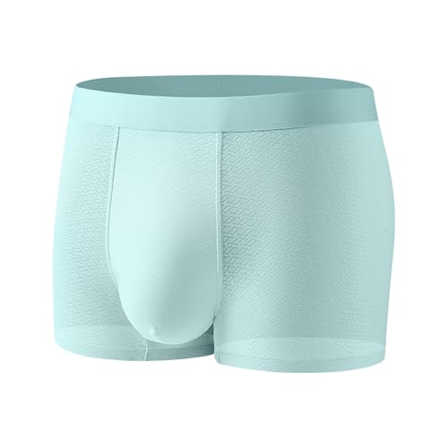 JokeLomple Ropa Interior de Seda Ligera y Transpirable para máxima Comodidad y Uso Diario. (Green, L)