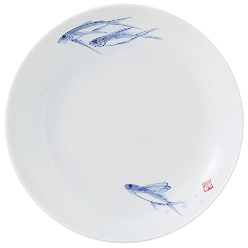 g aRq WAZAN 7[M M 22cm  { 293146 zCg M 22cm