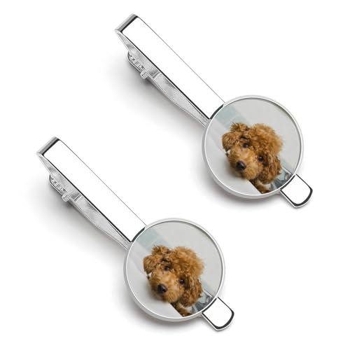 lN^Cs 2Zbg v[h q ^CNbv   ߑANZT[ rWlX d   LO Ǝ w v[g