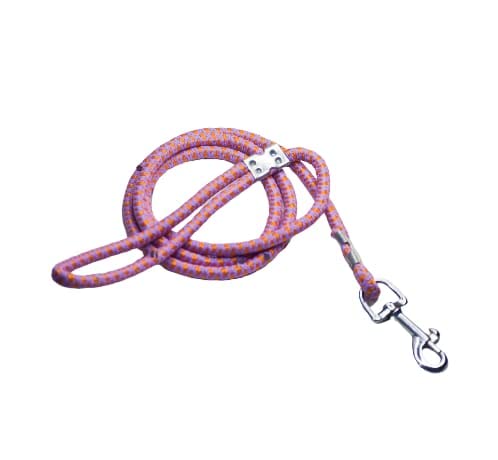 Eqous International Nylon Rope Dog Cord Training Leash for Medium Sized Dogs with Strong Hook (B09YM751YR) Amazon Price History, Amazon Price Tracker