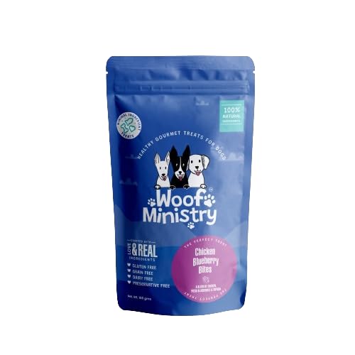 Woof Ministry Chicken Blueberry Bites for Dogs, Minimal Ingredient Dehydrated Dog Treats (Non Veg Treats -100 Grams) (B0D339YGK8) Amazon Price History, Amazon Price Tracker