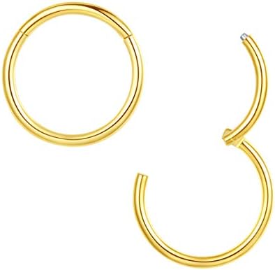 Lovebodyjewelry 316l Surgical Steel Hinged Nose Rings Hoop 20G 18G 16G 14G 12G 10G,Diameter 5mm to 14mm,Color Gold-Rose Gold-Silver-Black Septum Clicker Segment Lip Ear Cartilage Daith Earrings