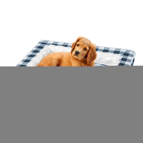 hbOxbh - \tgȃybgpSۉ\t@ - ybgxbh qƎqLp ~ߒʕt,rO[ xbh[ ƒ P[W tA p