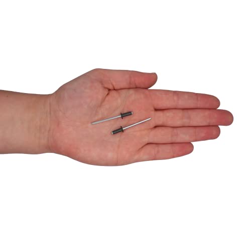 SKIR’CO (100 Stück) Lackierte Blindnieten 3,2 x 8 mm, Kuppelkopf, DIN 7337, Aluminiumniete, Popniete (100, Anthrazitgrau RAL 7016)