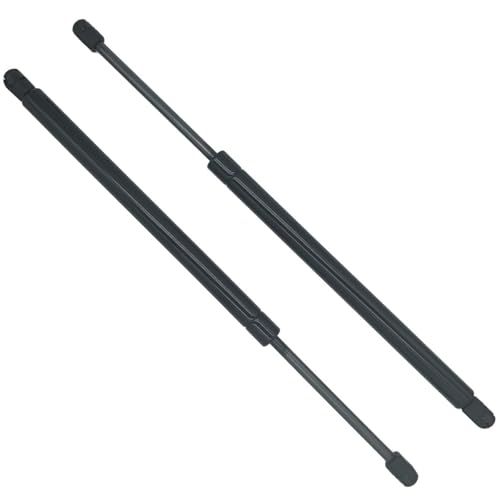 Amortisseur de coffre Pathfinder R51 résout le problème de hayon lourd