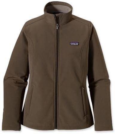 Patagonia Windproof Bayan Leeway Ceket