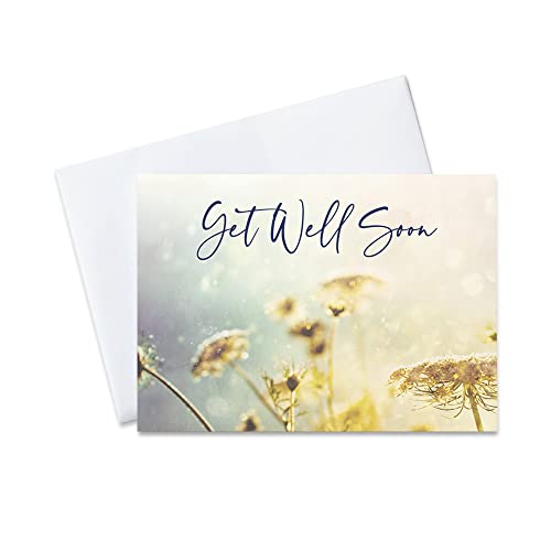 CEO Cards - Get Well Greeting Cards (Fields of Blossoms), 5x7 Inches, 25 Cards & 26 White Envelopes (GW2002)