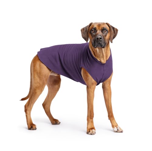 Goldpaw Stretch Fleece Dog Sweater, Huckleberry, Size 26