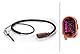 HELLA 6PU 012 806-931 Sensor, Raddrehzahl - 2-polig - Hinterachse