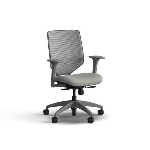 Image of HON Solve Office Chair, Ergonomic Office Chair Mesh Back Support, Adjustable Lumbar Support, Height Adjustable Arms, Titanium Frame, Fog