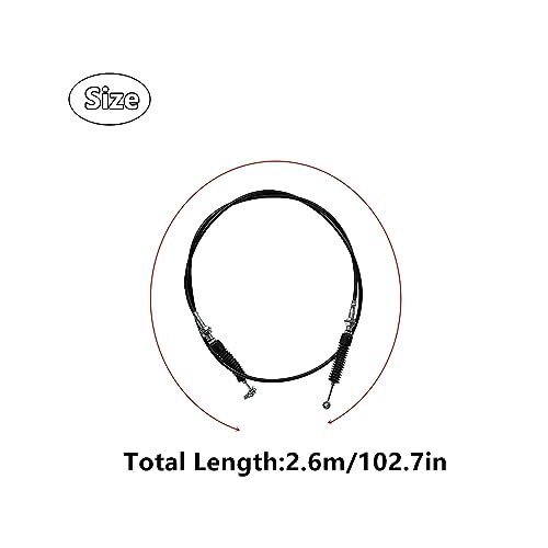 View 5
