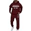 Z Men's Tracksuits Wine