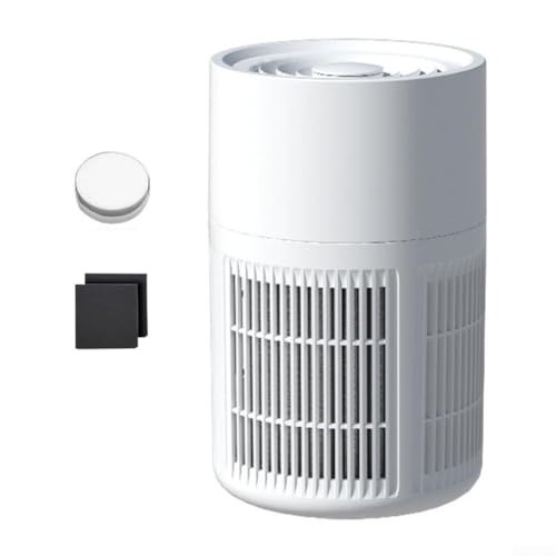 Purificador de aire HEPA portátil con filtro de carbono para uso en casa u oficina, elimina eficazmente PM2 5 y formaldehído, ultra silencioso para uso durante todo el día (B)