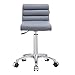 Dir Beauty Salon All Purpose Rolling Stool, for Manicure Technician, Doctor Office, Tattoo with Height Adjustment Jockey, Grey