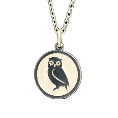 Bijou hibou gravé en relief sur médaille ronde de 24 mm avec chaîne câble en argent véritable