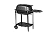 PK Grills Charcoal BBQ Grill and Smoker, PK300-BCX Cast Aluminum Portable Outdoor Barbeque Grill for Camping, Grilling, Graphite/Black, Premium PK Grills Charcoal BBQ Grill and Smoker, PK300-BCX Cast Aluminum Portable Outdoor Barbeque Grill for Camping, Grilling, Graphite/Black, Premium