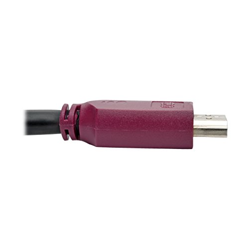 Eaton P569-010-CERT cable de video digital de tres metros para monitor y proyector 4