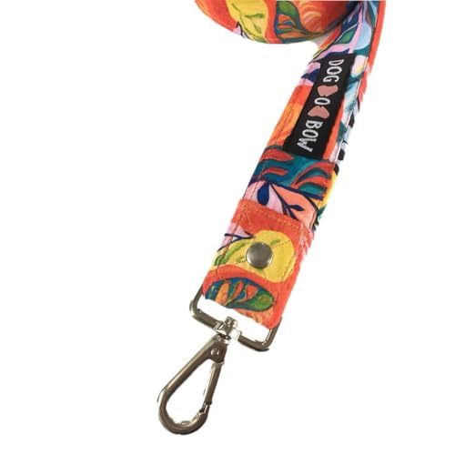 Image of Dog-O-Bow Martingale Collar with Leash | Durable, Adjustable Collar & Leash Set (Medium)