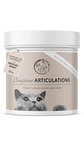 Annimally Poudre pour les Articulations pour Chats | 120g pour 4 mois – L'alternative aux comprimés pour les articulations. Poudre articulaire avec moule verte, MSM, griffe du diable, taurine, glucosa