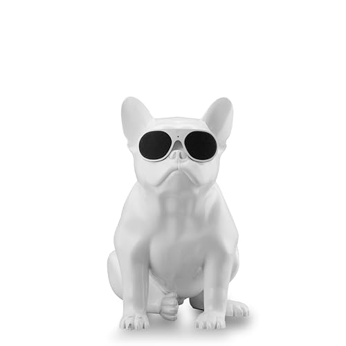 AeroBull XS1 ワイヤレススピーカー ホワイト 美品 Amazon.co.jp: AeroBull（エアロブル） XS1 ホワイト White フレンチ