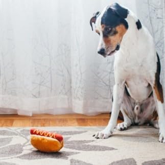 P.L.A.Y. Pet American Classic Pluche - Hot Dog