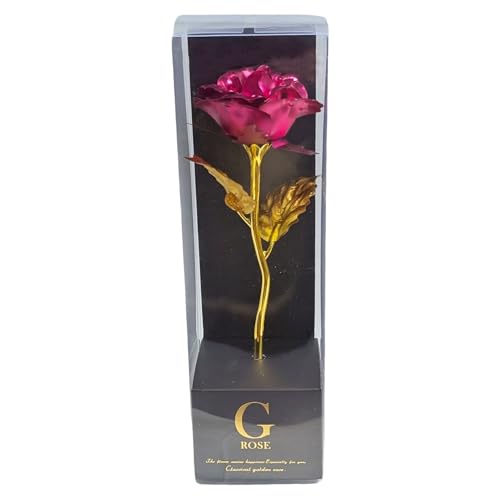 L[t(Q-FLA)  A[eBV t[ S[f[Y S bh  KN Mtg v[g 772740