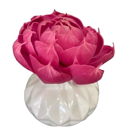 Set Difusor de Flor 8oz Fragancia Patchouli Pure miniatura 1