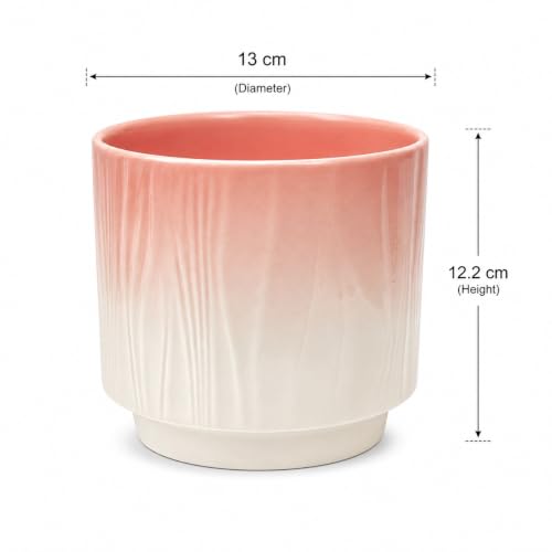 Image of Xtore Graceful Ribbed Ceramic Planter for Home & Office Decor | Modern Indoor Flower Pot with Soft Pink Finish for Living Room, Bedroom, Desk, Shelf, Balcony & Window Styling (Soft Pink)