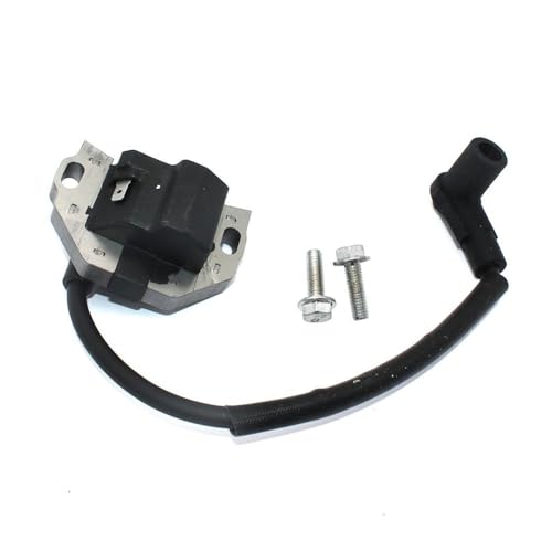 Bobina de encendido soluciona tirones y fallos de arranque en X300 y X350 2