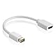 HDSupply DA010 Adapter Mini DVI - HDMI (Mini DVI Stecker auf HDMI Buchse), 0,20m, weiß
