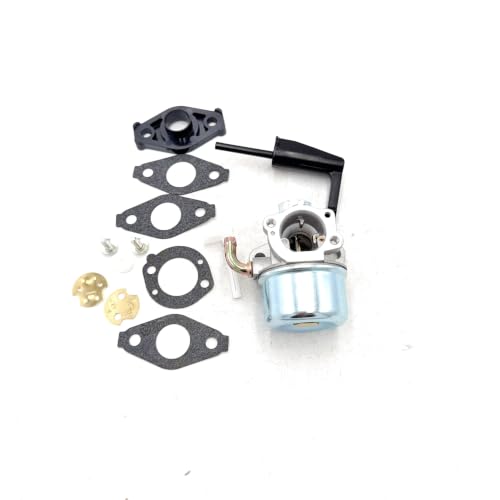 Carburateur pour Briggs Stratton 591299 798650 pièce de rechange moteur tondeuse