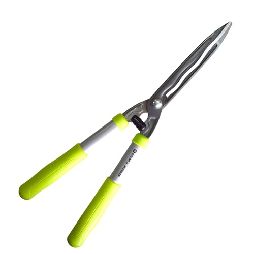 Cisailles à main Spear & Jackson 55509G pour taille du jardin