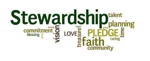 Episode 138: Truth in Stewardship