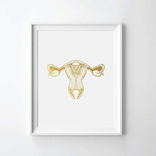 Female Reproductive System Gold Foil Art Print Uterus Anatomy Gold Print Female Uterus Ovaries Anatomy Gold Wall Art Decor (08" x 10" UNFRAMED)