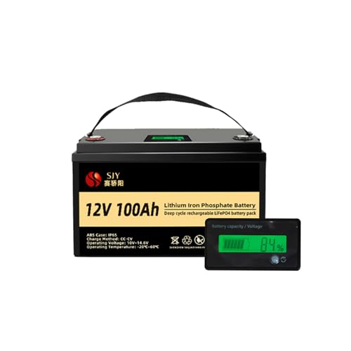 Amazon.com: Saijiaoyang 12V 100Ah Mini Deep Cycle Lifepo4 Battery 