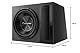 Pioneer TS-A300B Bassreflex-Gehäusesubwoofer (1500 W), IMPP Membran für eine optimierte Basswiedergabe, kontinuierliche Ausgangsleistung 500 W