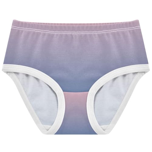 Joisal Blush Pink Lapis Lazuli Gradient Panties for Girl Toddlers Underwear Floral Cotton Cartoon Kids Briefs Undies 2t