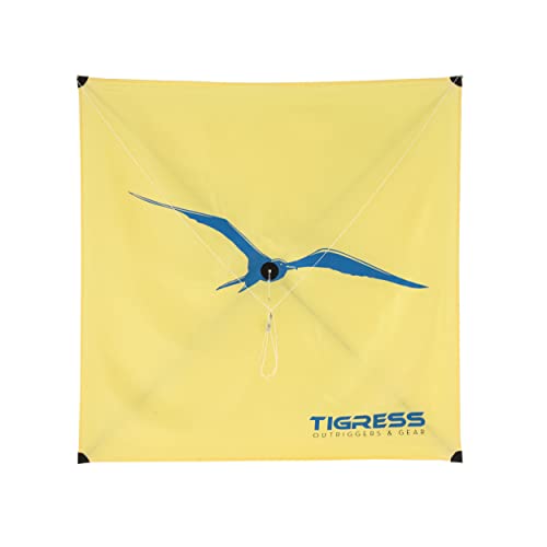 Tigress Carbon Graphite Kite