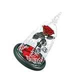 PRETYZOOM Glasflasche Mit Getrockneten Rosen Led Licht Wohnschmuck Geschenk Für Liebhaber Dekoration Für Zuhause Und Büro