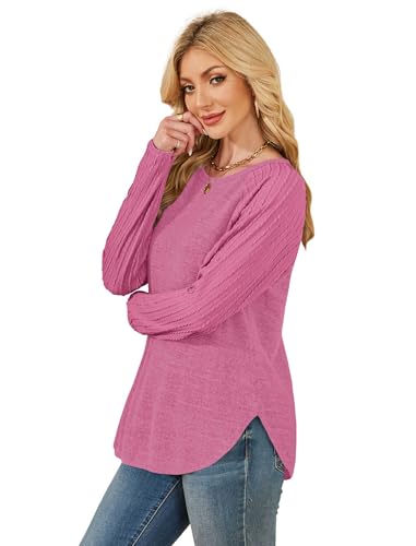 Image of SAMPEEL Sweatshirt for Women Long Sleeve Shirts Crewneck Sweaters Fall Fashion Outfits 2025 Trendy Tunic Tops Plus Size