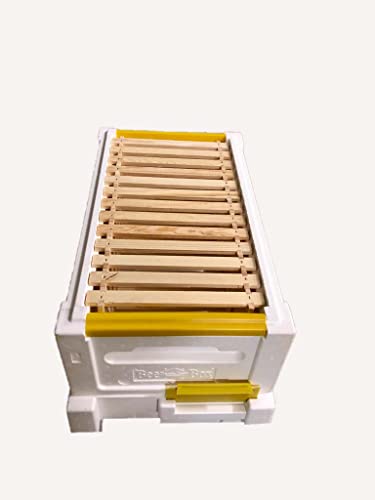 Bienenwagner Paradisehoney NUC&Mate Ablegerkasten Dadant Us Dadant Blatt Langstroth MIni Plus (MIni Plus) – Bild 3