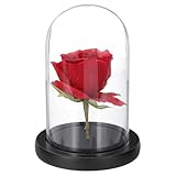Plus transparent, avec un meilleur effet de présentation, idéal pour les figurines DIY permettant d'exposer bijoux, montres et autres œuvres artistiques.
