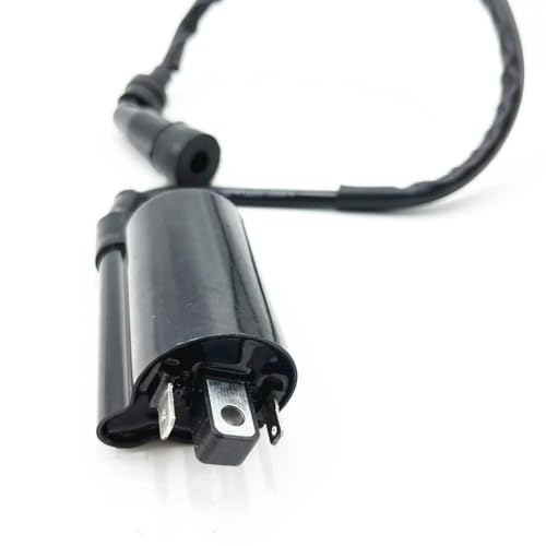Bobina de encendido para solucionar fallos de chispa en ATV D300 5