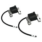 The ROP Shop (2) Ignition MODULES COILS Briggs & Stratton Intek V-Twin Engines 799651 691060