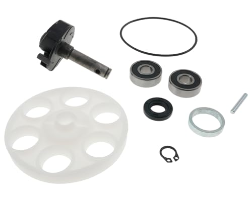 Pompe à eau avec dispositif de roue motrice pour Malaguti F12 R 50 cc, F15 Firefox, MBK Mach G, Nitro, naked