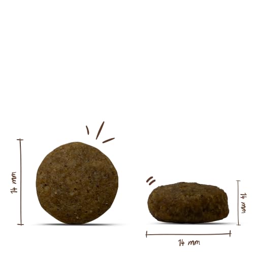 bosch HPC Junior mit Lamm & Reis | Hundetrockenfutter zur Aufzucht ernährungssensibler Welpen | 1 x 3 kg