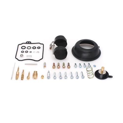 Kit réparation carburateur XV250 pour résoudre calage et fuite moto V 250 66
