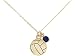 Produktbild Gemshine Kette Volleyball SAPHIR Anhänger: Zuspieler, Angreifer, Steller, Blocker, Libero, Spieler, Trainer, Team. Silber oder vergoldet - Sportschmuck Made in Spain, Metall Farbe:Silber vergoldet