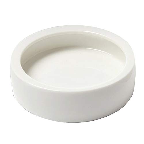 SLSON Reptile Feed Feeder Food or Water Ceramics Bowl Tray Worm Dish Mealworm Dish for Lizard Gecko Bearded Dragon Terrestrial Animals, Medium