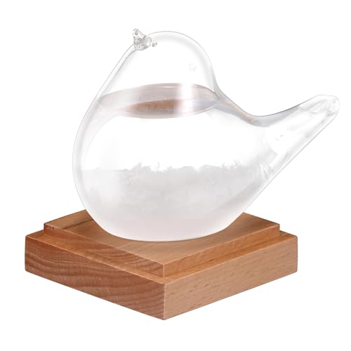 Bird Shape Storm Glass Weather Station